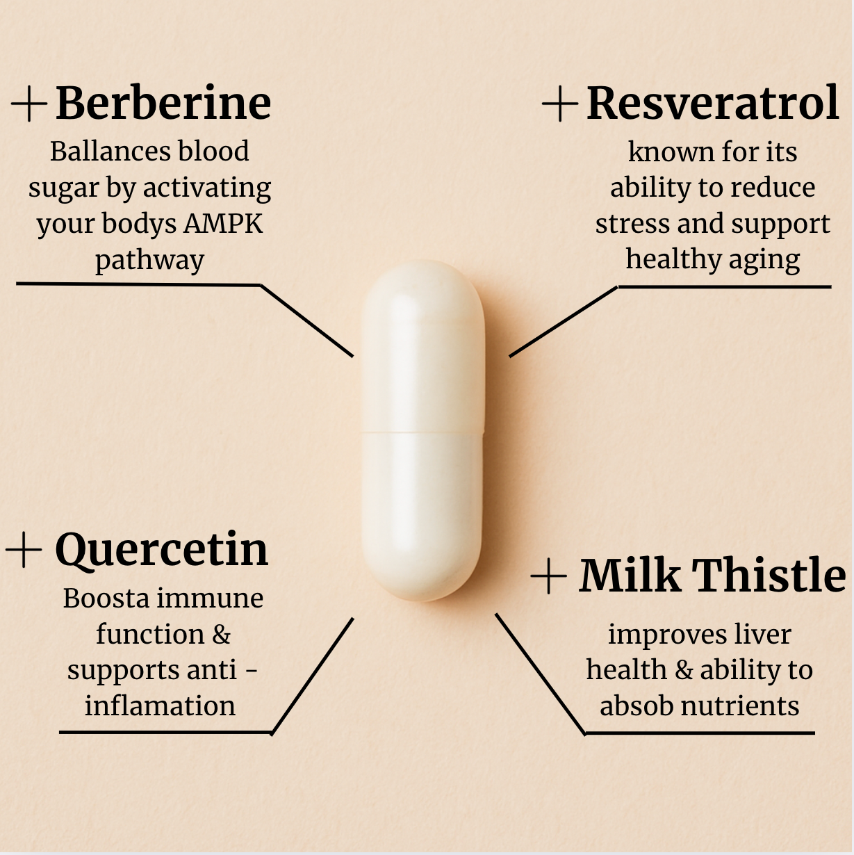 Metabolic Flow